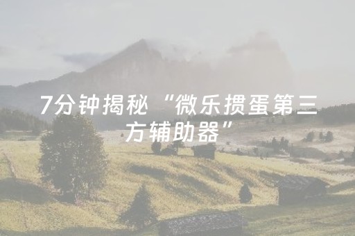 玩家必备教程“乐乐安徽麻将软挂神器（助赢神器通用版）