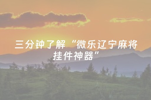 教程辅助“微乐插件下载教程（专用辅牌神器免安装）