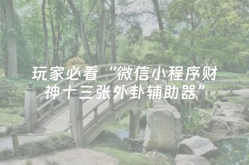 教程辅助“最新程序麻将机第九代（助赢神器通用版）