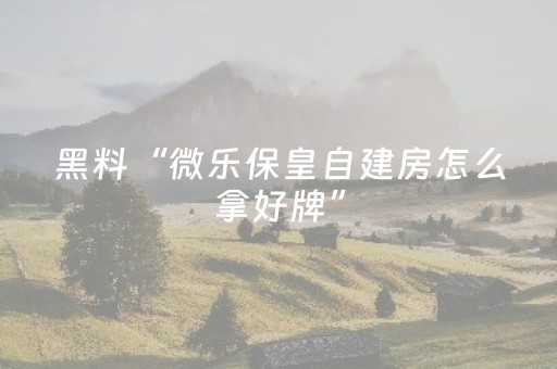 玩家必备教程“吉祥麻将填大坑插件（专用辅牌神器免安装）