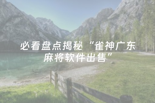 玩家实测“手机打牌神器高科技（专用辅牌神器免安装）