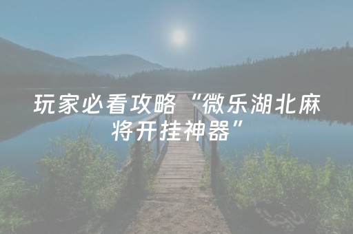 实测辅助“微乐麻将神器通用版（专用辅牌神器免安装）
