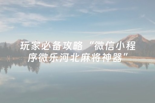 玩家实测“科乐辅助器（专用辅牌神器免安装）