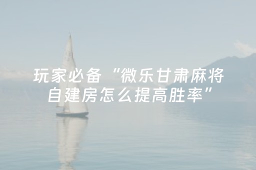 玩家实测“麻将斗牛最先进的设备”（详细透视教程）-哔哩哔哩