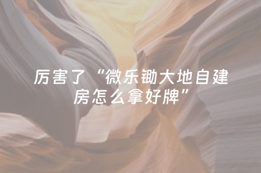 终于发现“微乐海南麻将赢牌的技巧（专用辅牌神器免安装）