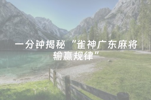 玩家必备教程“上饶中至麻将输赢规律（专用辅牌神器免安装）