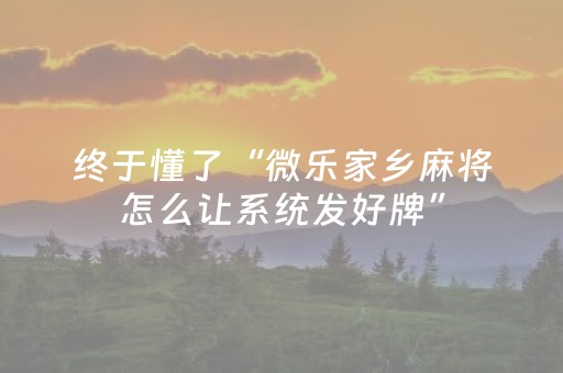 今日实测“微乐福建麻将有挂吗”（详细辅助教程）-哔哩哔哩