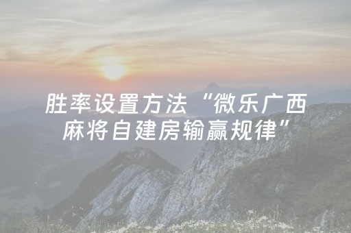 玩家必看教程！“开心泉州麻将专用神器”（详细透视教程）-哔哩哔哩