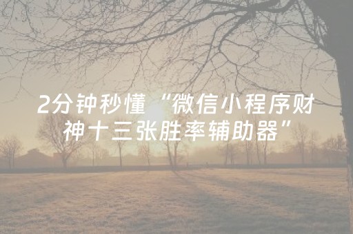 玩家必看攻略“麻将机解码器的使用方法（专用辅牌神器免安装）