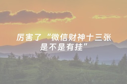 教程辅助“麻将机免装控牌器（助赢神器通用版）