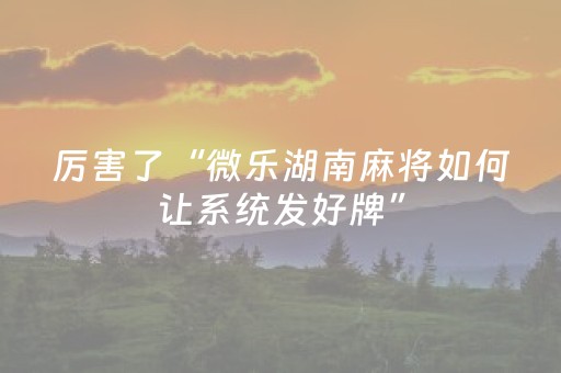 教程辅助“微乐辽宁麻将挂件神器”（详细透视教程）-哔哩哔哩