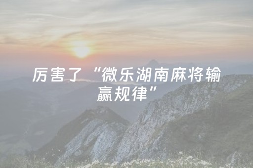 分享辅助“微乐四川麻将挂件神器通用（助赢神器通用版）