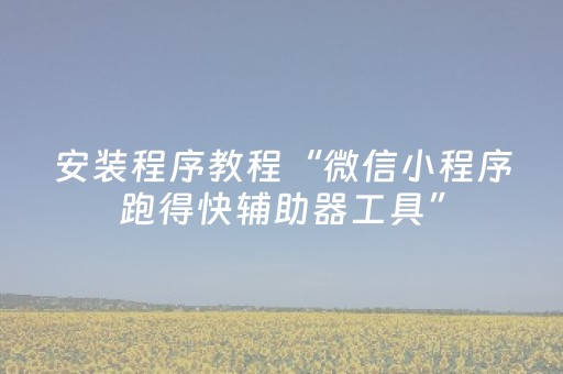 安装程序教程“微信小程序跑得快辅助器工具”（辅助器插件)