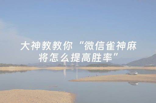 实测辅助“手机十三水开外挂（助赢神器通用版）