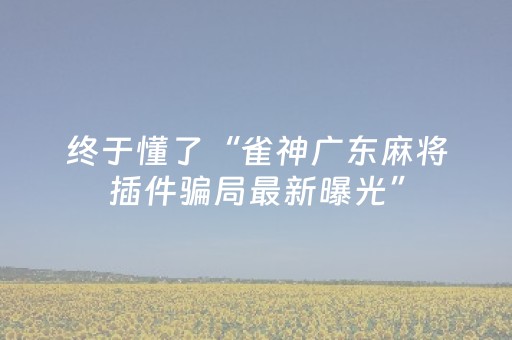 实测辅助“心悦麻将软挂神器（专用辅牌神器免安装）