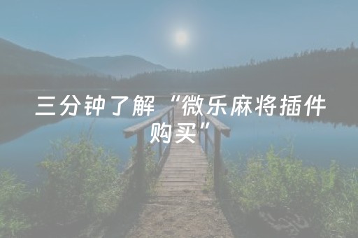 玩家实测“打麻将天天输有什么破解的办法（专用辅牌神器免安装）