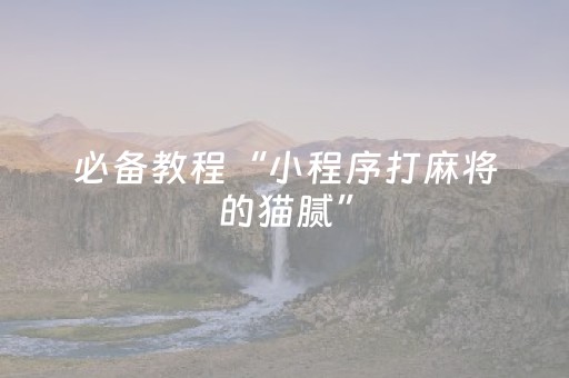 玩家必备教程“微乐捉鸡麻将辅牌器”（详细透视教程）-哔哩哔哩