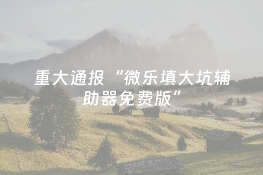 实测教程“微信金花挂怎么弄（专用辅牌神器免安装）