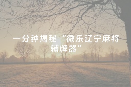 胜率设置方法“普通自动麻将机可以调整某方赢的概率（专用辅牌神器免安装）