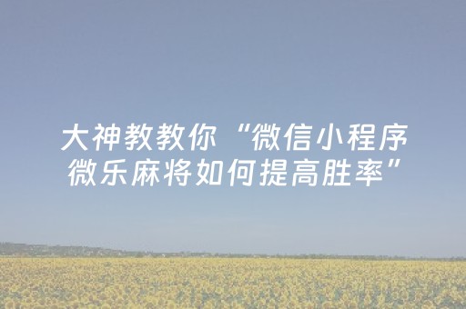 实测教程“微乐小程序免费黑科技（专用辅牌神器免安装）