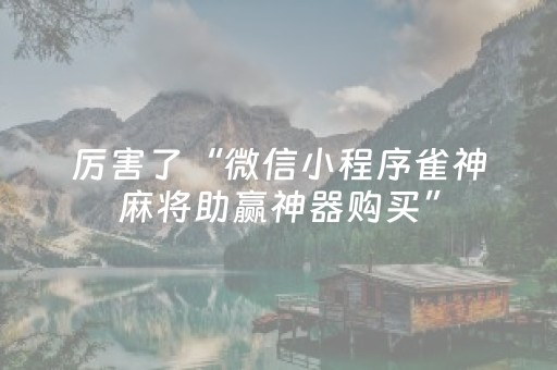 实测辅助“陕麻圈捉老麻辅助器（专用辅牌神器免安装）