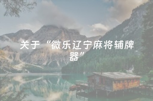 玩家必看攻略“微乐胜率设置代码如何添加（助赢神器通用版）