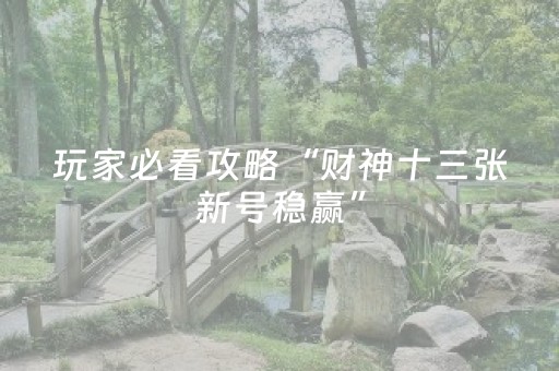 3分钟学会“雀神广东麻将助赢神器（专用辅牌神器免安装）