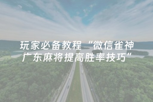 教程辅助“微乐江苏麻将挂件神器通用（专用辅牌神器免安装）