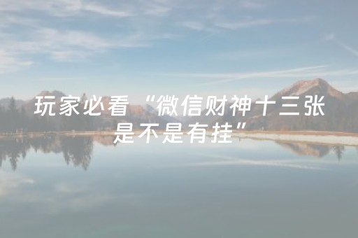 必看教程“吉祥麻将免输神器下载（助赢神器通用版）
