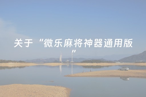 玩家必看攻略“小程序麻将控牌神器（专用辅牌神器免安装）
