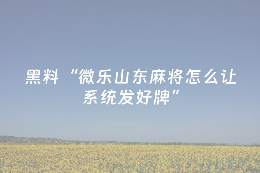 3分钟学会“哈灵麻将斗地主助赢神器（专用辅牌神器免安装）