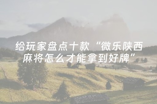 玩家必看攻略“手机麻将软件出售（专用辅牌神器免安装）