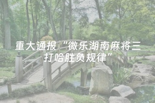 玩家实测“功夫川麻有外挂吗（专用辅牌神器免安装）