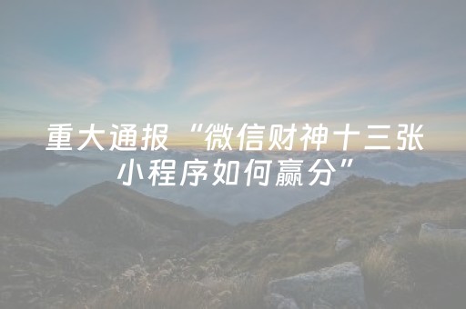玩家实测“微乐麻将助赢神器（专用辅牌神器免安装）