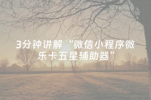 实测教程“吉祥填大坑辅助器免费下载（专用辅牌神器免安装）