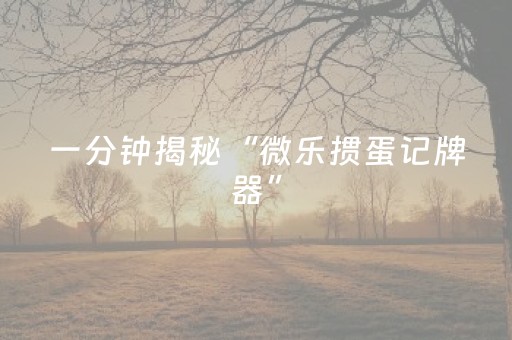玩家必备教程“手机麻将开外挂流程（助赢神器通用版）