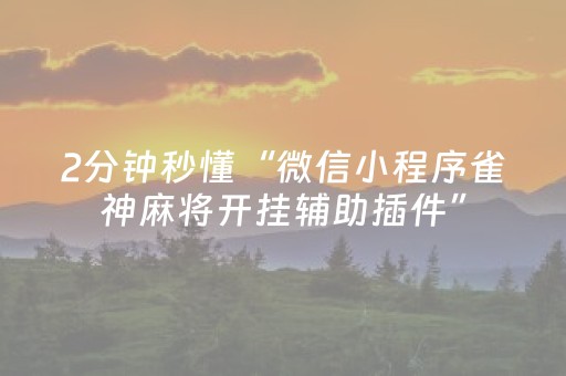 必看教程“雀神辅助器ios版下载（助赢神器通用版）