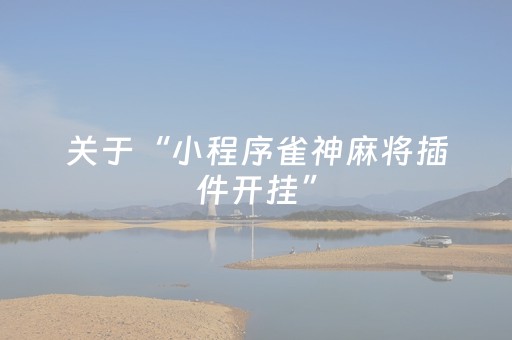 玩家实测“蜀山四川麻将助赢神器（专用辅牌神器免安装）