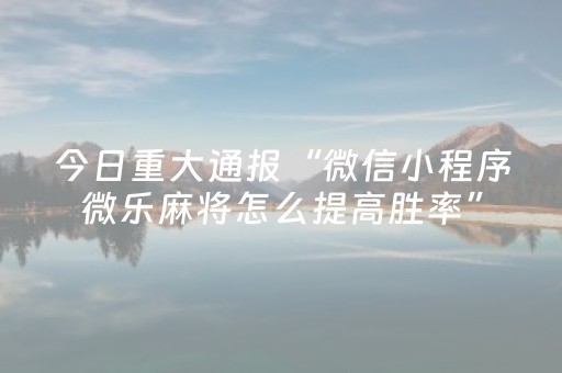 实测辅助“川麻圈辅助器手机版（专用辅牌神器免安装）