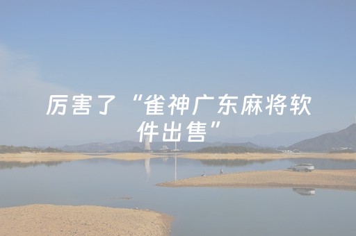 厉害了“雀神广东麻将软件出售”（胜率到哪调)