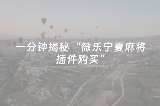 教程辅助“微乐宁夏麻将铺牌器购买（专用辅牌神器免安装）