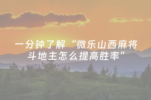 玩家必备教程“微乐斗地主必赢软件（专用辅牌神器免安装）
