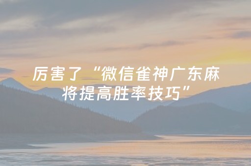 教程辅助“麻将机免安装控牌神器（专用辅牌神器免安装）