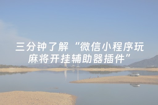 胜率设置方法“手机打牌外挂揭秘（助赢神器通用版）