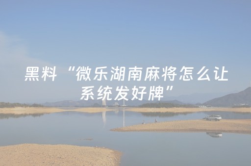 教程辅助“中至麻将输赢规律（助赢神器通用版）