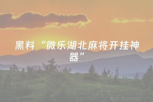 实测结果“手机金花外挂骗局揭秘（助赢神器通用版）