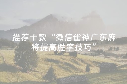 推荐十款“微信雀神广东麻将提高胜率技巧”（挂件神器)