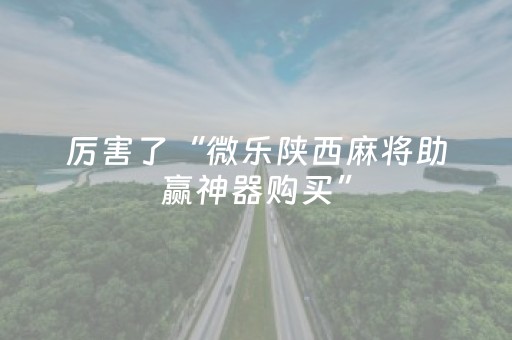 厉害了“微乐陕西麻将助赢神器购买”（万能开挂器)