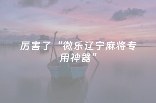厉害了“微乐辽宁麻将专用神器”（做弊器软件下载)