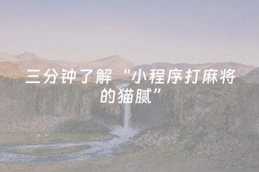 3分钟学会“微乐麻将小程序有猫腻吗（助赢神器通用版）